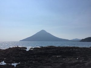 IMG_4911